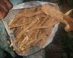 Ibogaine root bark