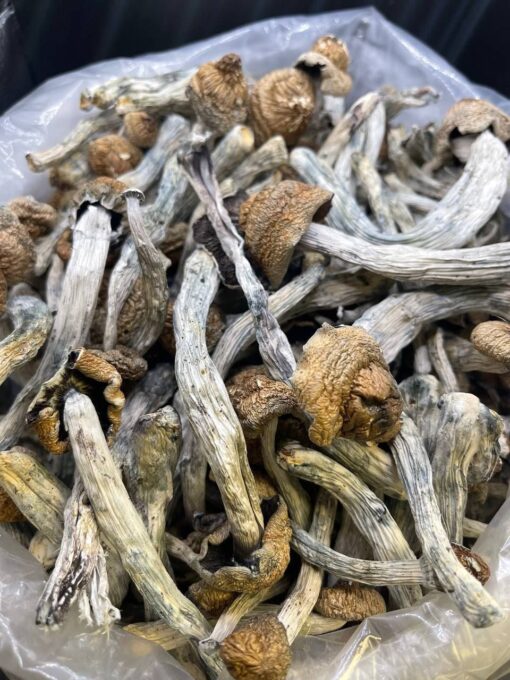 http://ericpsychshop.com/product/buy-psilocybin-online/