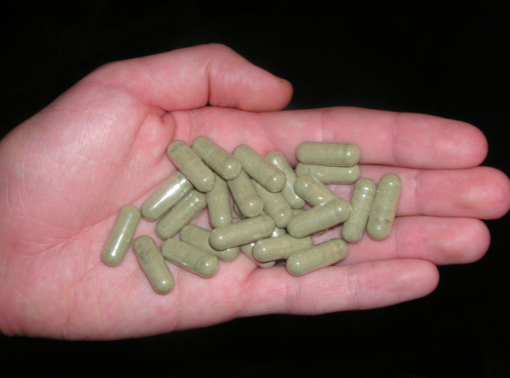 Ayahuasca capsule for sale online