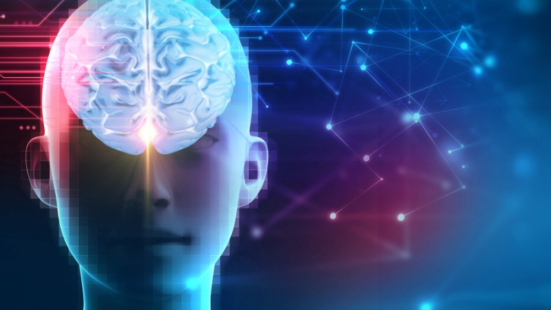 The Neurobiology of MDMA, Illustration showing how MDMA affects the brain, highlighting serotonin, dopamine, and oxytocin pathways and their impact on mood and behavior.