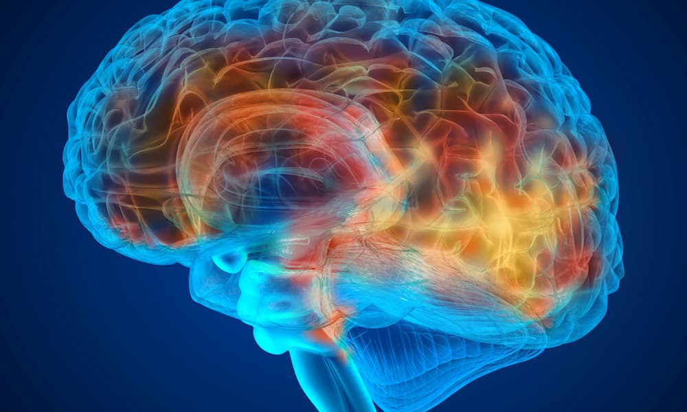 Illustration of brain activity showing the effects of psychedelics on serotonin receptors, neural connectivity, and brain networks.