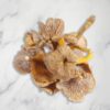 A close-up image of a vibrant golden Chanterelle mushroom with its distinctive wavy, funnel-shaped cap and forked gills, set against a forest floor background.