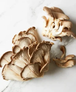 Close-up of fresh oyster mushrooms with white to light brown caps and delicate gills, ready for cooking or harvesting.