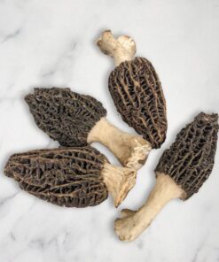 A close-up of a fresh morel mushroom with its distinctive honeycomb-like cap and hollow stem, showcasing its unique texture and earthy appearance.