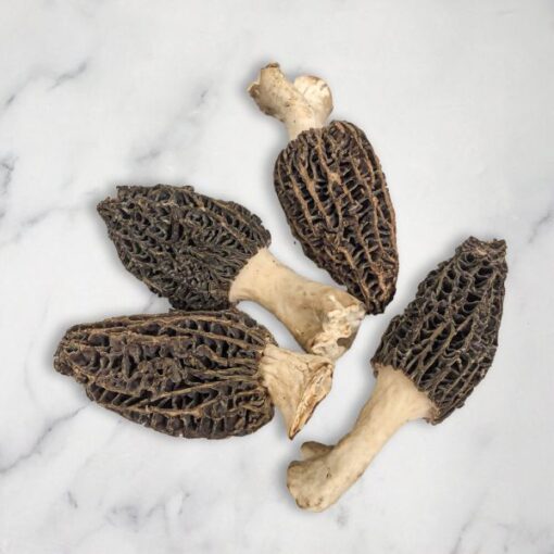 A close-up of a fresh morel mushroom with its distinctive honeycomb-like cap and hollow stem, showcasing its unique texture and earthy appearance.